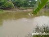Pipa Pertamina Bocor di Sungai Ciherang