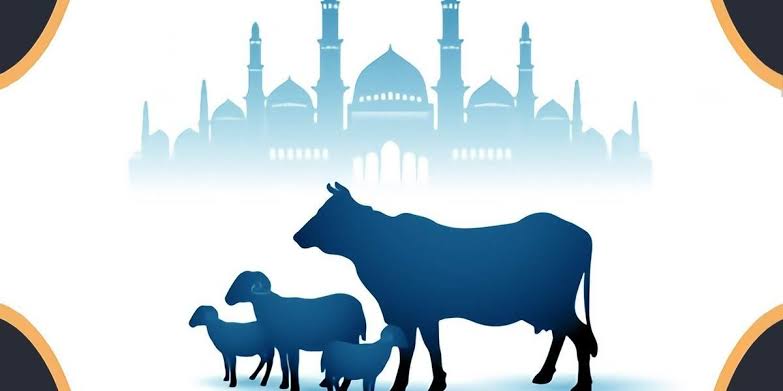 Ilustrasi hewan kurban di hari raya Idul Adha